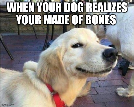 Better watch out | When your dog realizes your made of bones | image tagged in dog smiling,funny,dark humor | made w/ Imgflip meme maker