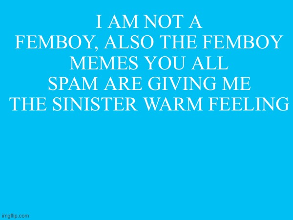I am not a femboy, also the femboy memes you all spam are giving me the sinister warm feeling | made w/ Imgflip meme maker