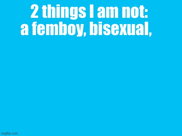 2 things I am not: a femboy, bisexual, | made w/ Imgflip meme maker