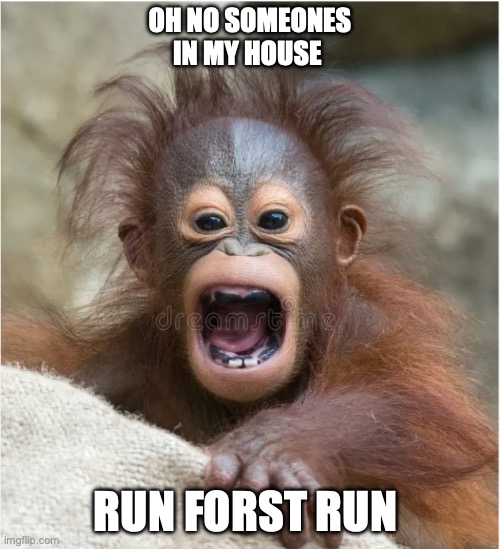 plz dont hurt me | oh no someones in my house; run forst run | image tagged in plz dont hurt me | made w/ Imgflip meme maker