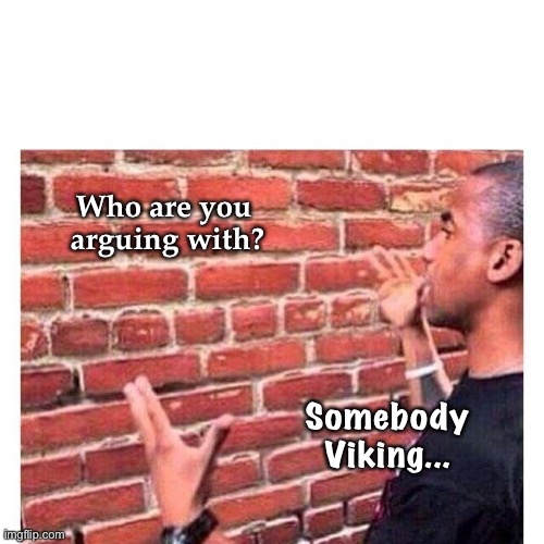 Who are you
 arguing with? Somebody
Viking... | image tagged in argue with a wall | made w/ Imgflip meme maker
