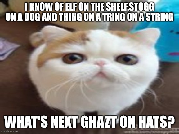 Another run-of-the-mill cat staring into your soul | I know of elf on the shelf,stogg on a dog and thing on a tring on a string what's next ghazt on hats? | image tagged in another run-of-the-mill cat staring into your soul | made w/ Imgflip meme maker