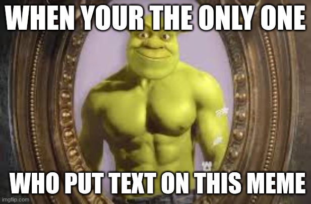 buff shrek | when your the only one; who put text on this meme | image tagged in buff shrek,remix | made w/ Imgflip meme maker