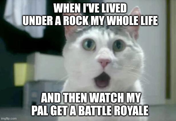 fartnight | when i've lived under a rock my whole life; and then watch my pal get a battle royale | image tagged in memes,omg cat | made w/ Imgflip meme maker