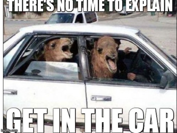 Meme for the contest | image tagged in get in the car,bank robber | made w/ Imgflip meme maker