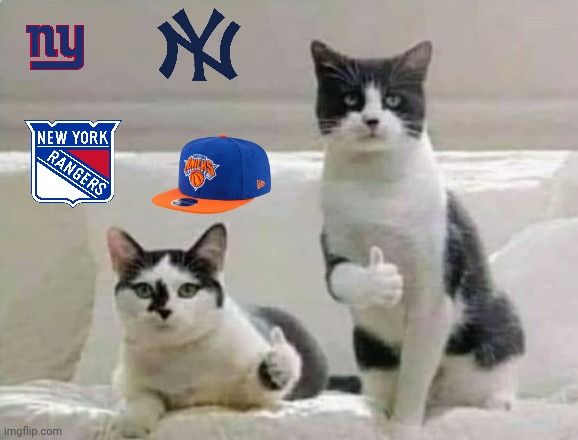 Thumbs up Cats | image tagged in thumbs up cats | made w/ Imgflip meme maker