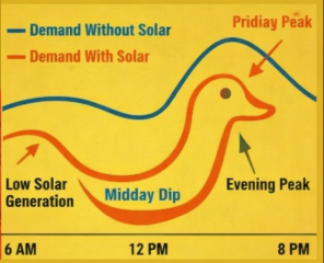 duck curve Blank Meme Template