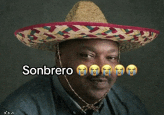 image tagged in sonbrero | made w/ Imgflip meme maker