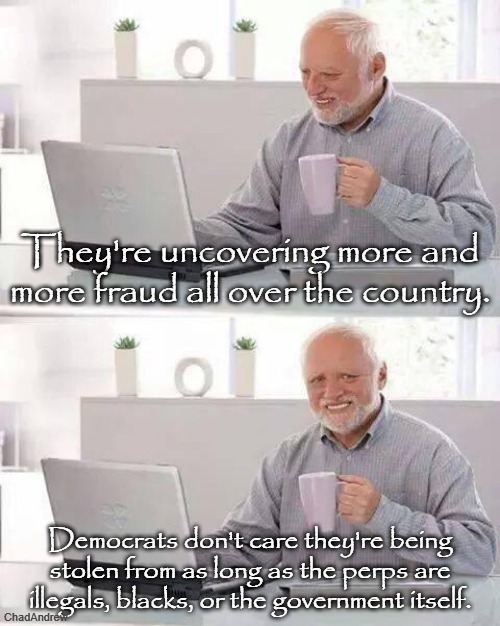 I guess they think it's only a crime if straight white Conservative men are doing it. | They're uncovering more and more fraud all over the country. Democrats don't care they're being stolen from as long as the perps are illegals, blacks, or the government itself. | image tagged in memes,hide the pain harold,fraud,illegals,federal government,democrats | made w/ Imgflip meme maker