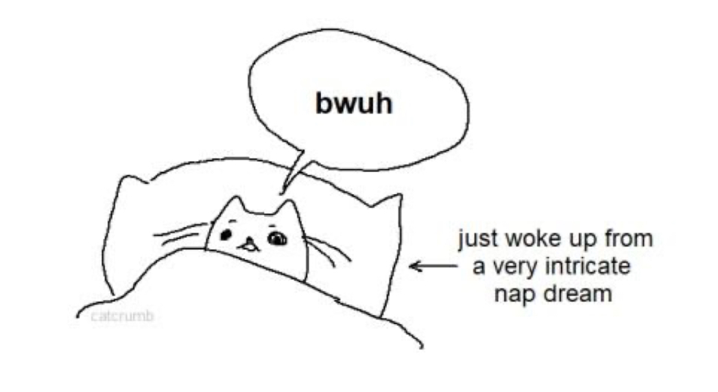 Kitty sleep Blank Meme Template