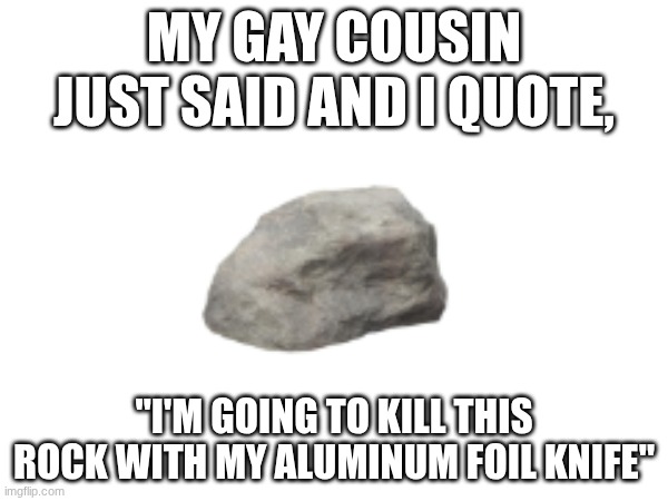 It wasn't even well made. Just a scrap of aluminum foil? | My gay cousin just said and I quote, "I'm going to kill this rock with my aluminum foil knife" | image tagged in rock,cousins | made w/ Imgflip meme maker