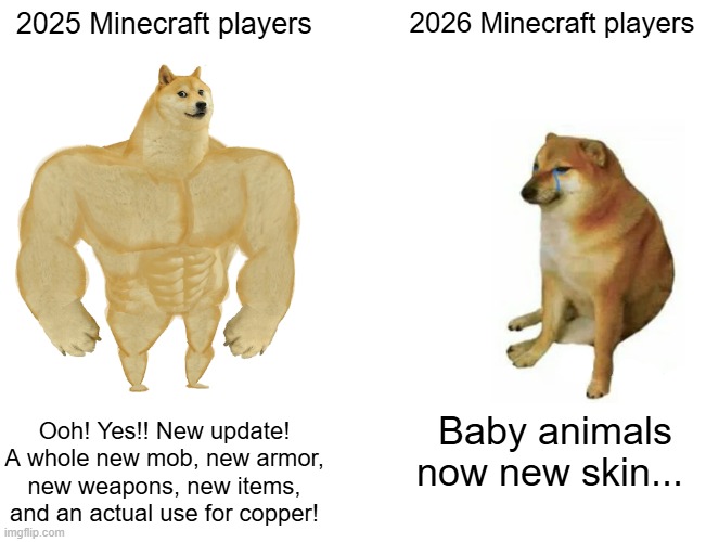 Like bro, the new update is boring | 2025 Minecraft players; 2026 Minecraft players; Ooh! Yes!! New update! A whole new mob, new armor, new weapons, new items, and an actual use for copper! Baby animals now new skin... | image tagged in memes,buff doge vs cheems | made w/ Imgflip meme maker