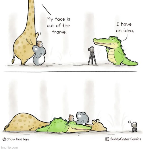 Back in frame | image tagged in frame,giraffe,animals,picture,comics,comics/cartoons | made w/ Imgflip meme maker