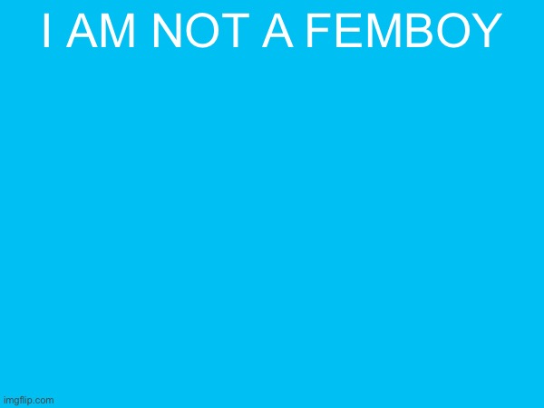 I AM NOT A FEMBOY | made w/ Imgflip meme maker