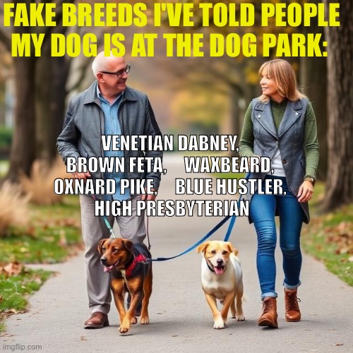 Dog Walking in the Park | FAKE BREEDS I'VE TOLD PEOPLE MY DOG IS AT THE DOG PARK:; Venetian Dabney, 
Brown Feta,     Waxbeard, 
Oxnard Pike,     Blue Hustler, 
High Presbyterian | image tagged in dog walkers meet | made w/ Imgflip meme maker