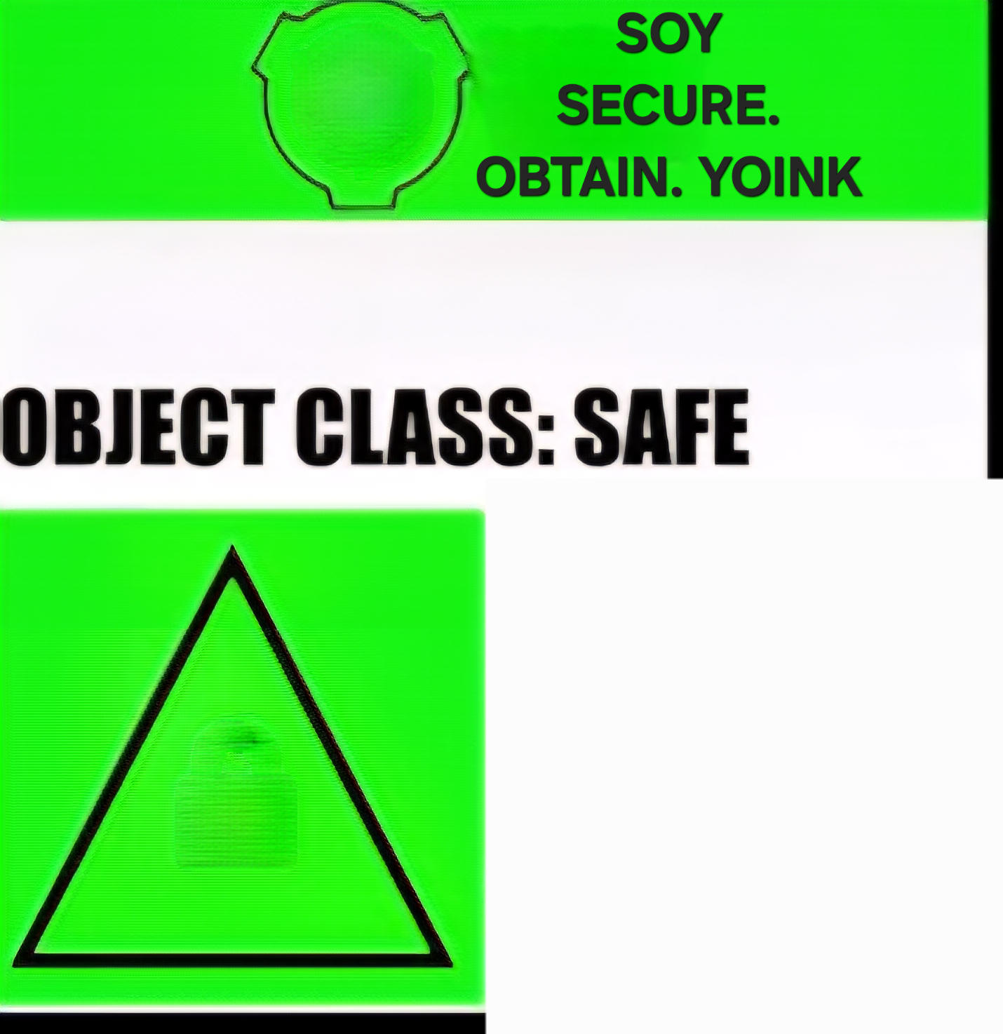 SOY FOUNDATION SAFE Blank Meme Template