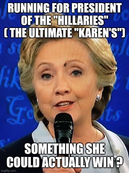 Running for president of the "hillaries" ( the ultimate "Karen's") Something she could actually win ? | image tagged in hillary with fly on face | made w/ Imgflip meme maker