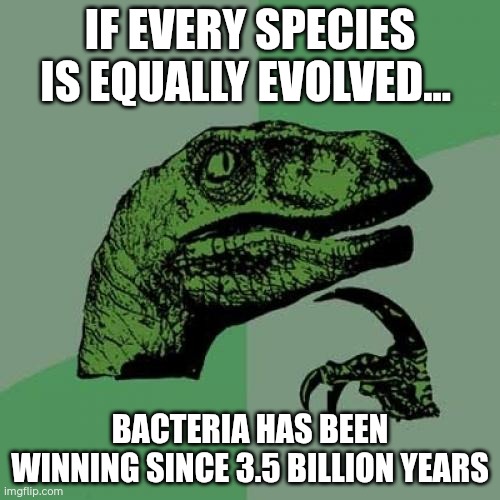 Bacteria | If every species is equally evolved... Bacteria has been winning since 3.5 billion years | image tagged in memes,philosoraptor | made w/ Imgflip meme maker