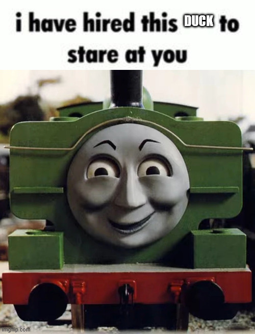 i am not sorry... | duck | image tagged in i have hired this to stare at you blank template,thomas and friends | made w/ Imgflip meme maker