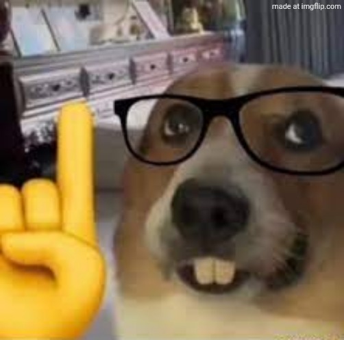 nerd dog | image tagged in nerd dog | made w/ Imgflip meme maker