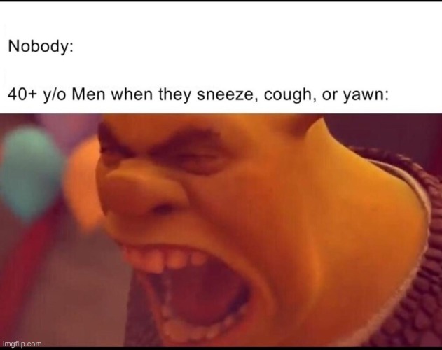 Fr | image tagged in funny,shrek | made w/ Imgflip meme maker