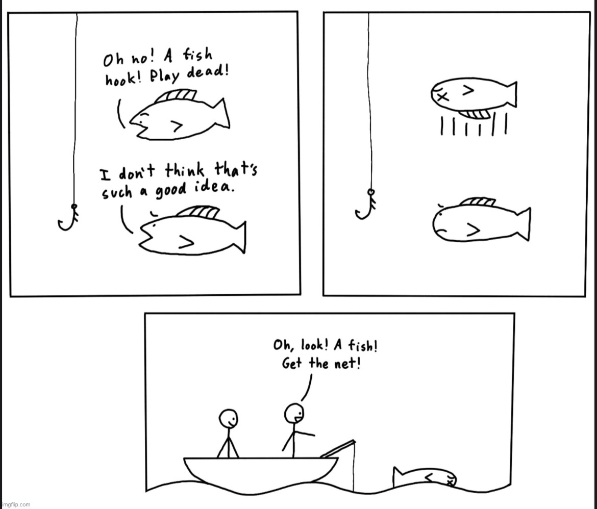 I made this :D | image tagged in comics,fish | made w/ Imgflip meme maker