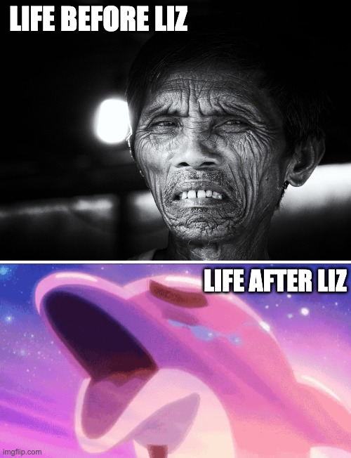 Life before Liz; Life after liz | image tagged in funny | made w/ Imgflip meme maker