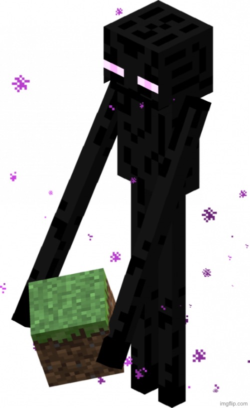 image tagged in enderman with block | made w/ Imgflip meme maker