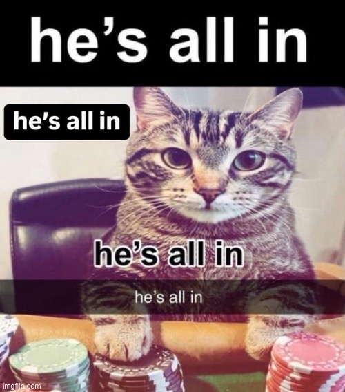 made w/ Imgflip meme maker