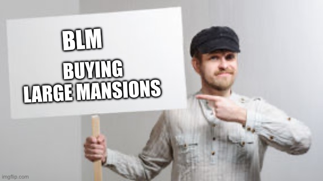 With our taxpayer dollars | BLM; Buying Large Mansions | image tagged in fraud,politics | made w/ Imgflip meme maker