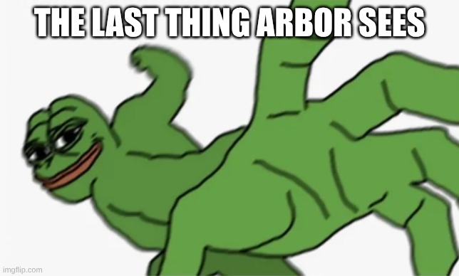 pepe punch | the last thing arbor sees | image tagged in pepe punch | made w/ Imgflip meme maker