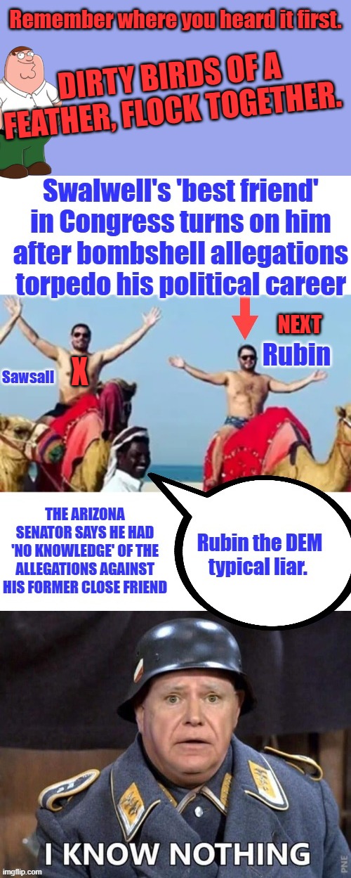 Be really cool if Sawsall Rats Rubin out next. That's 2 ,2 Dems Sen. GONE Rubin can't lie very well. | Remember where you heard it first. Dirty Birds of a feather, flock together. X; Next | made w/ Imgflip meme maker