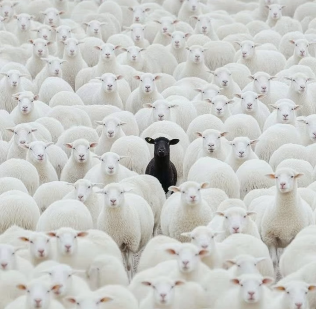 In a world full of Blank Meme Template