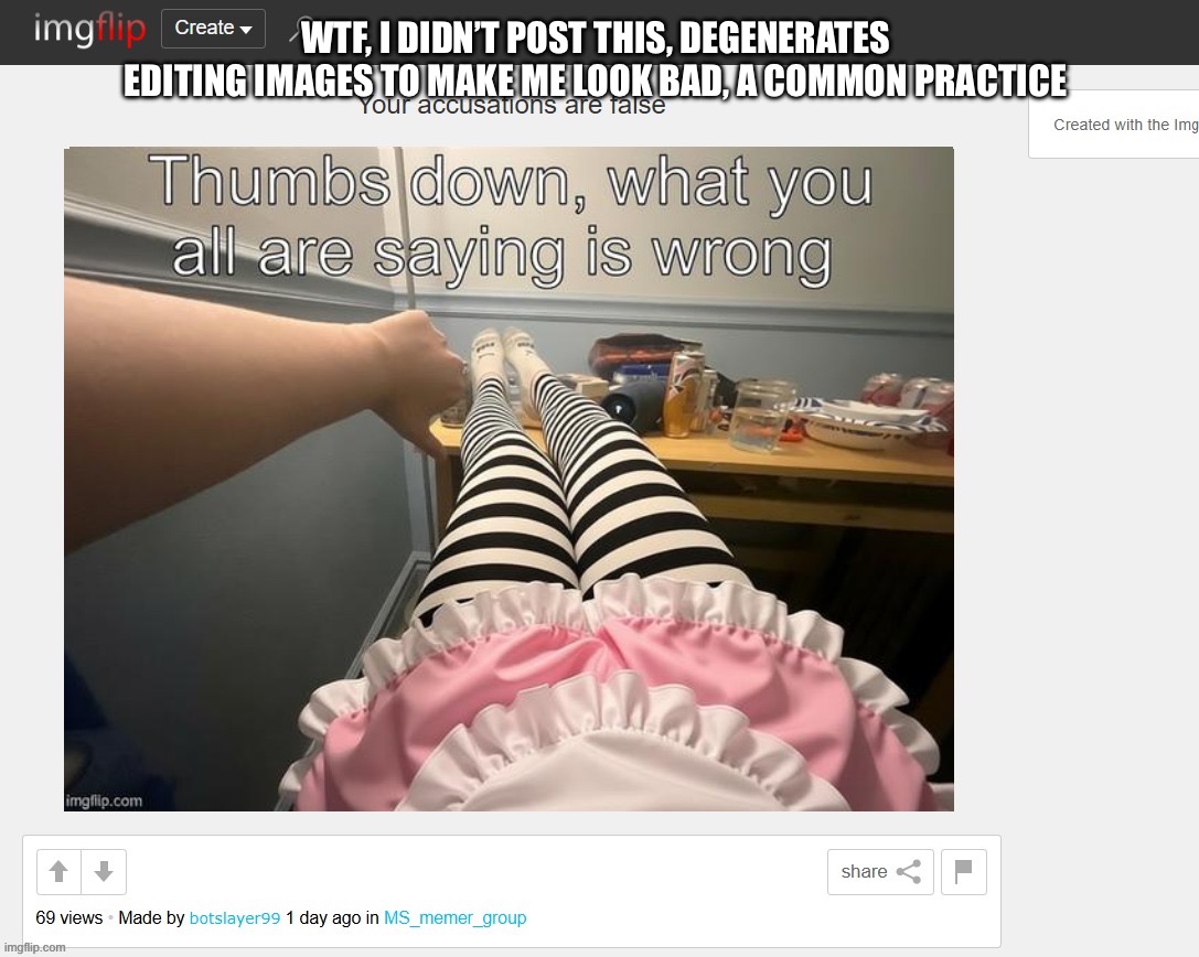 I did NOT post this shit | WTF, I didn’t post this, degenerates editing images to make me look bad, a common practice | image tagged in botslayer99 is not a femboy | made w/ Imgflip meme maker
