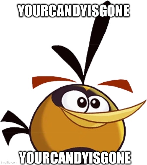 Yourcandyisgone Yourcandyisgone | image tagged in bubbles angry birds toons | made w/ Imgflip meme maker