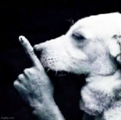 image tagged in shh dog | made w/ Imgflip meme maker