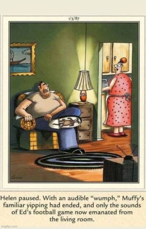 He hated that dog… | image tagged in the far side,comics,dog,flat,bottom of shoe,snuffed out | made w/ Imgflip meme maker