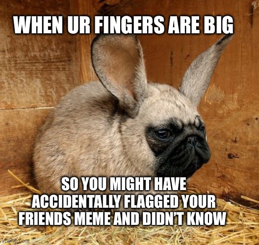 Awkwardness on a stick | When ur fingers are big; So you might have accidentally flagged your friends meme and didn’t know | image tagged in bruh,memes,flag,awkward moment | made w/ Imgflip meme maker
