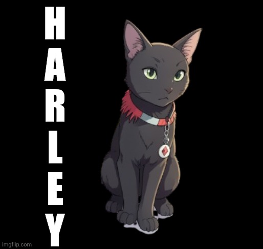 1000017743-removebg-preview.png | H
A
R
L
E
Y | image tagged in 1000017743-removebg-preview png | made w/ Imgflip meme maker