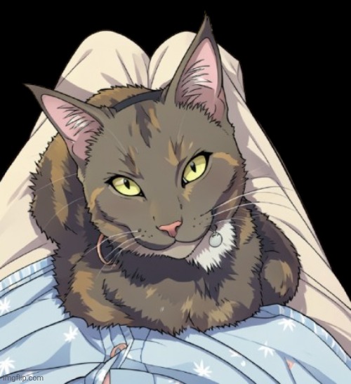 1000017739-removebg-preview.png | image tagged in 1000017739-removebg-preview png | made w/ Imgflip meme maker