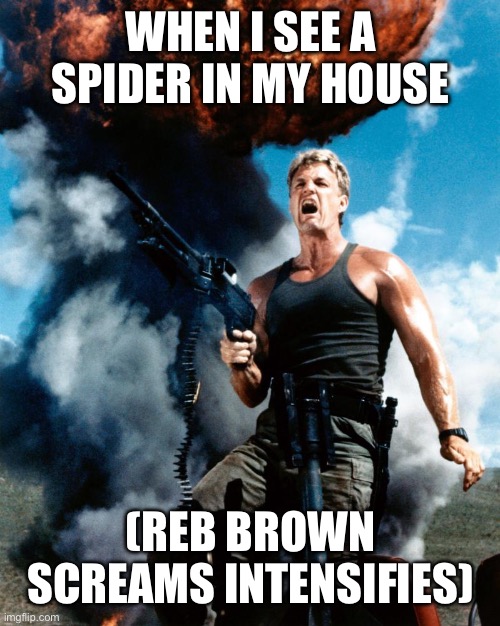 IMG_2208.jpeg | When I see a spider in my house; (Reb Brown Screams Intensifies) | image tagged in img_2208 jpeg,memes,spiders,reb brown,action movies | made w/ Imgflip meme maker