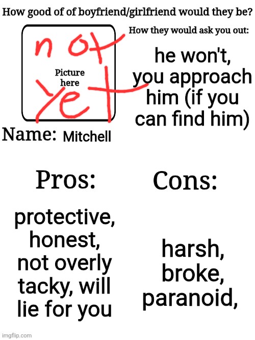 new project mc | he won't, you approach him (if you can find him); Mitchell; protective, honest, not overly tacky, will lie for you; harsh, broke, paranoid, | image tagged in how good of a gf/bf would they be | made w/ Imgflip meme maker