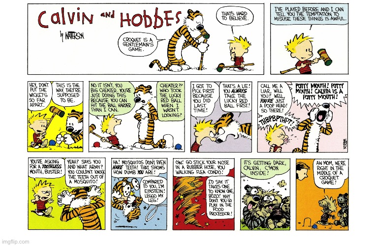 image tagged in calvin and hobbes,comics | made w/ Imgflip meme maker