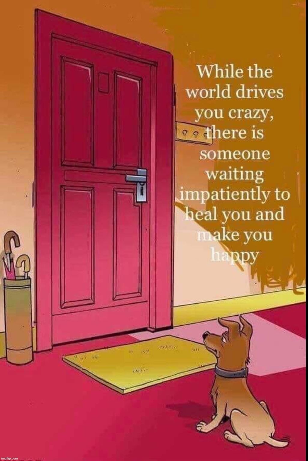 A very important relationship... | image tagged in dogs,cats,cats and dogs | made w/ Imgflip meme maker