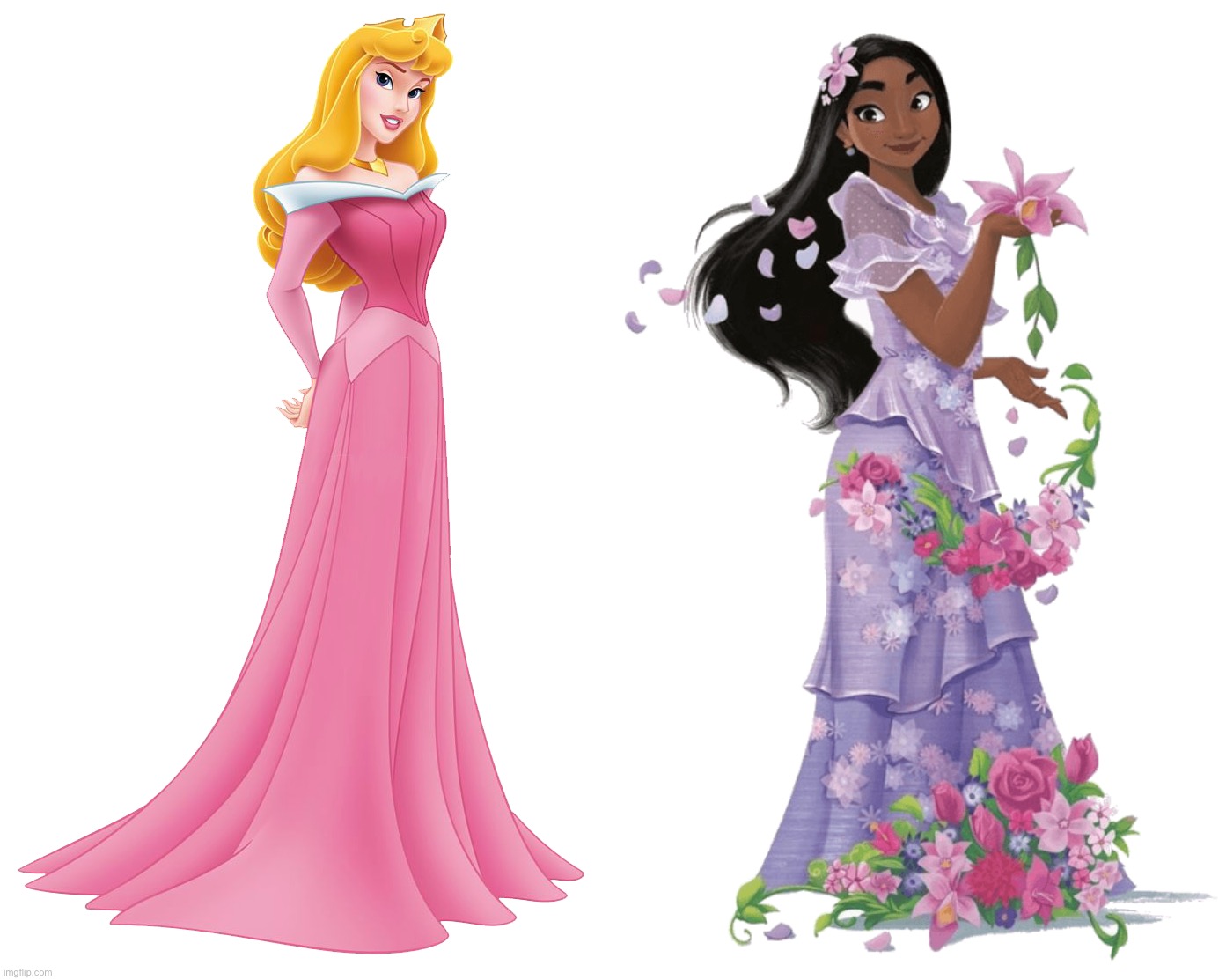 Princess Aurora and Isabela Madrigal | image tagged in aurora briar rose,isabela madrigal,princess aurora,sleeping beauty,encanto,disney princess | made w/ Imgflip meme maker