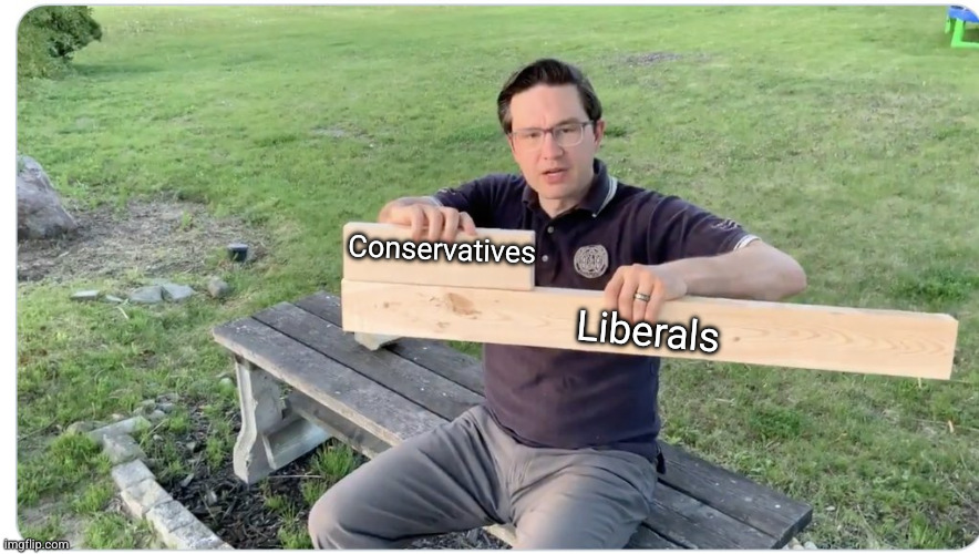 Pierre Poilievre explaining how the Conservatives lost 3 byelections to the Liberal Party | Conservatives; Liberals | image tagged in pierre poilievre wood,byelections,liberal vs conservative,biggest loser,just a flesh wound,pierre poilievre | made w/ Imgflip meme maker
