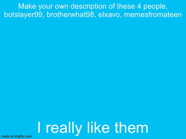 Make your own description of these 4 people, botslayer99, brotherwhat98, elxavo, memesfromateen; I really like them | made w/ Imgflip meme maker
