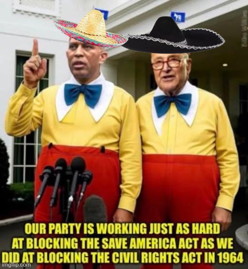 Tweedle Dumb and Tweedle Dumber | image tagged in img 24 jpeg,what if i told you,liberal hypocrisy | made w/ Imgflip meme maker