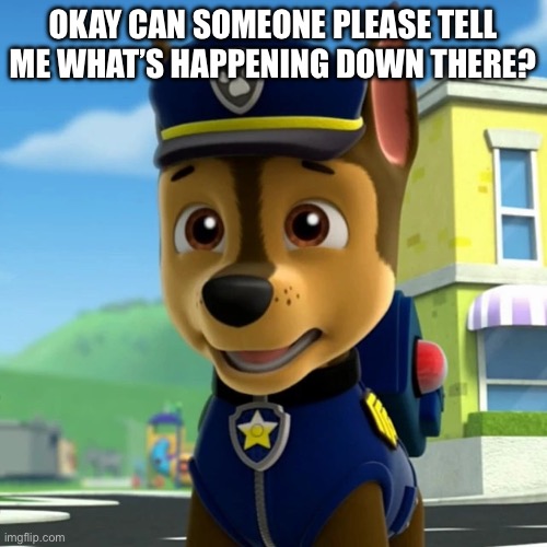 PAW Patrol: Chase Shocked/Scared(?) | Okay can someone please tell me what’s happening down there? | image tagged in paw patrol chase shocked/scared | made w/ Imgflip meme maker