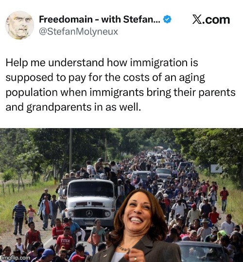 How are Demorhhoids gonna pay? | image tagged in hobama illegals caravan,social security,liars | made w/ Imgflip meme maker